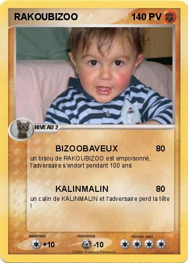 Pokemon RAKOUBIZOO
