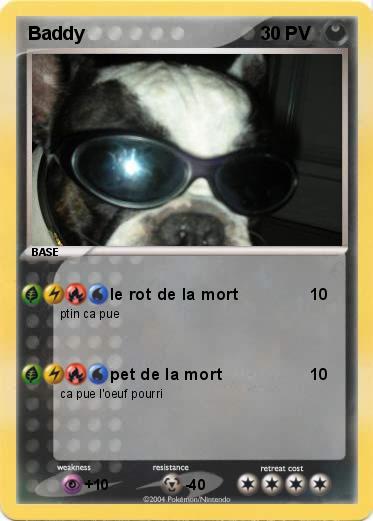 Pokemon Baddy