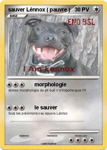 Pokemon sauver Lénnox ( pauvre )