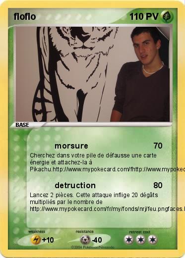 Pokemon floflo