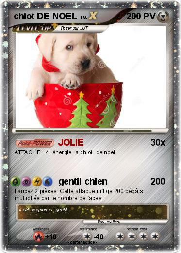 Pokemon chiot DE NOEL