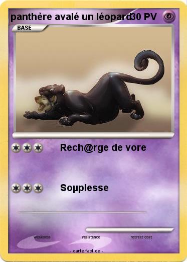 Pokemon panthère avalé un léopard