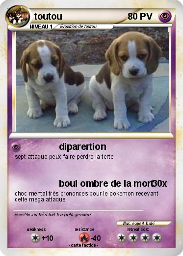 Pokemon toutou