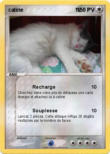 Pokemon caline                                  12