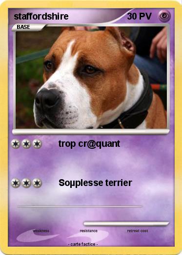 Pokemon staffordshire