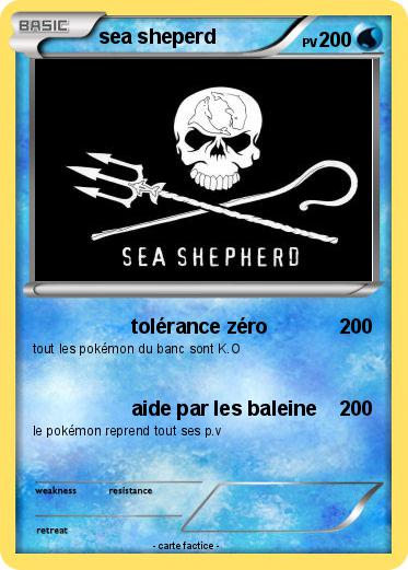Pokemon sea sheperd