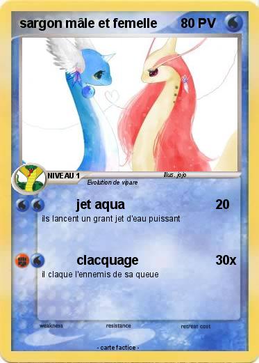 Pokemon sargon mâle et femelle