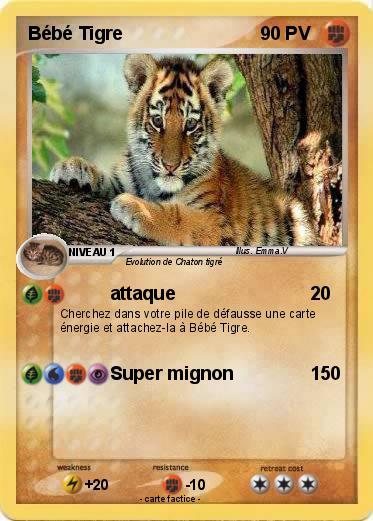Pokemon Bébé Tigre