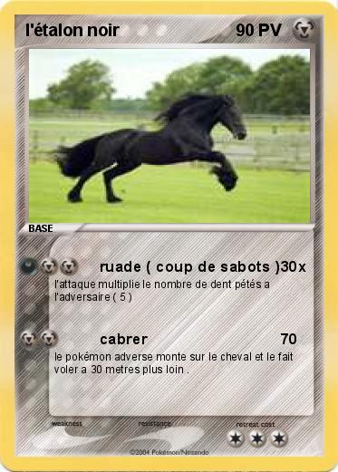 Pokemon l'étalon noir