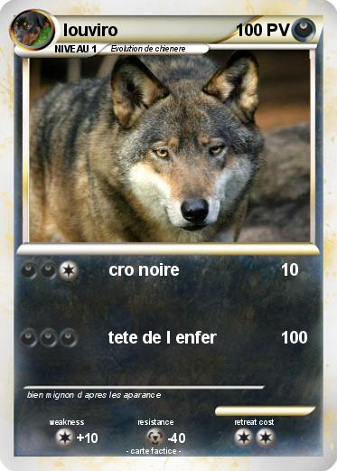 Pokemon louviro