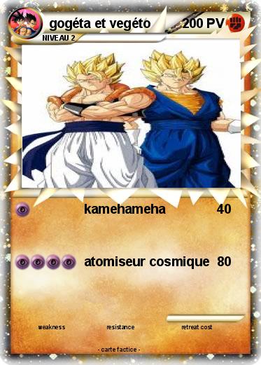 Pokemon gogéta et vegéto