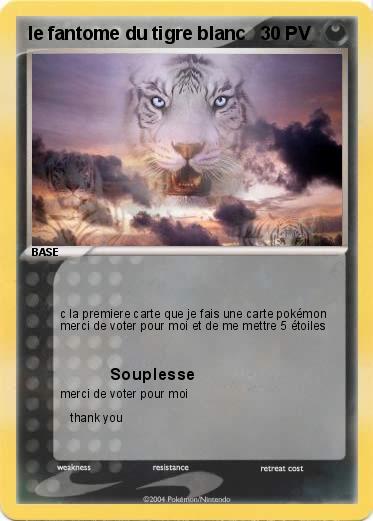 Pokemon le fantome du tigre blanc