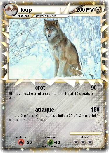 Pokemon loup