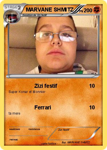 Pokemon MARVANE SHMITZ