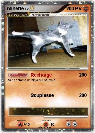Pokemon minette