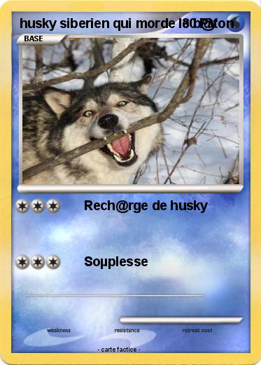 Pokemon husky siberien qui morde le b@ton