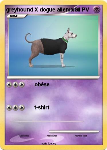 Pokemon greyhound X dogue allemand