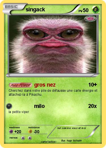 Pokemon singack