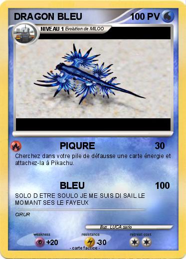 Pokemon DRAGON BLEU