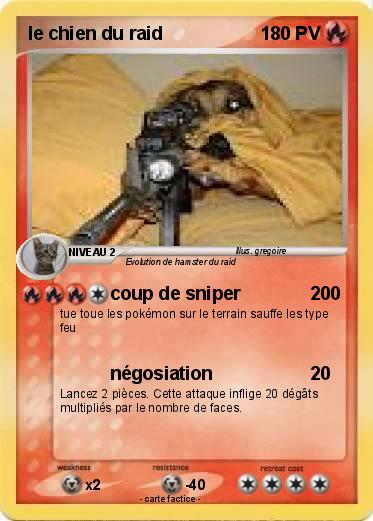 Pokemon le chien du raid