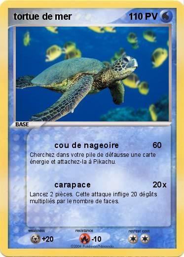 Pokemon tortue de mer