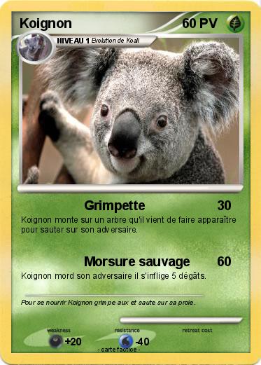Pokemon Koignon