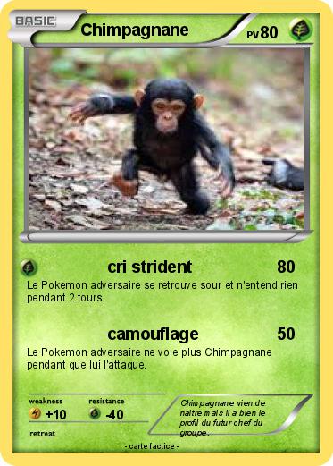Pokemon Chimpagnane