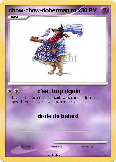 Pokemon chow-chow-doberman mix