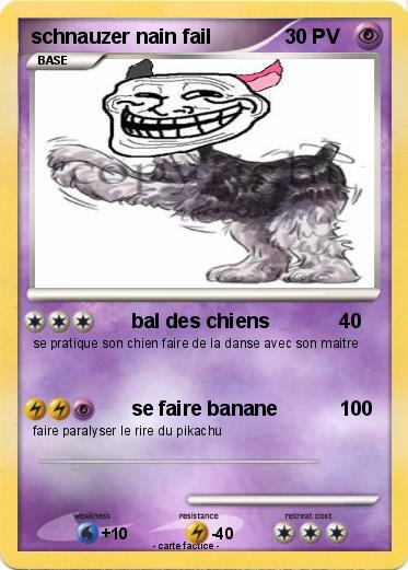 Pokemon schnauzer nain fail