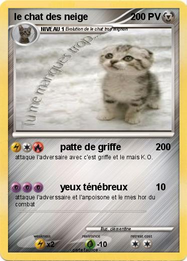 Pokemon le chat des neige