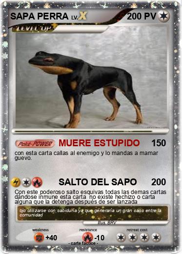 Pokemon SAPA PERRA