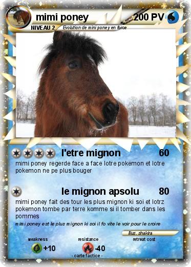 Pokemon mimi poney