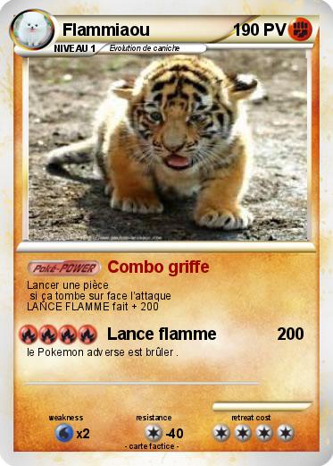 Pokemon Flammiaou