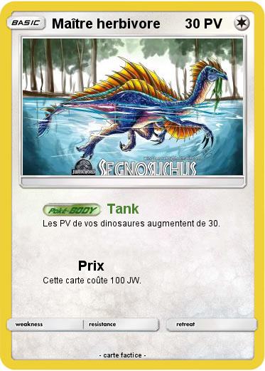 Pokemon Maître herbivore