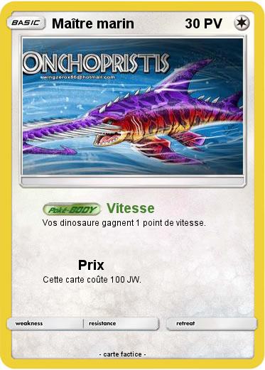 Pokemon Maître marin