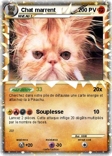 Pokemon Chat marrent
