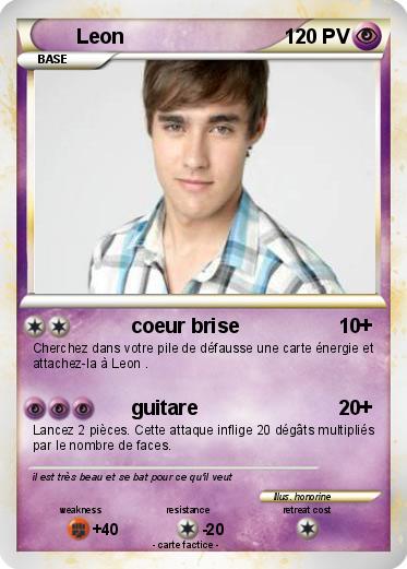 Pokemon Leon
