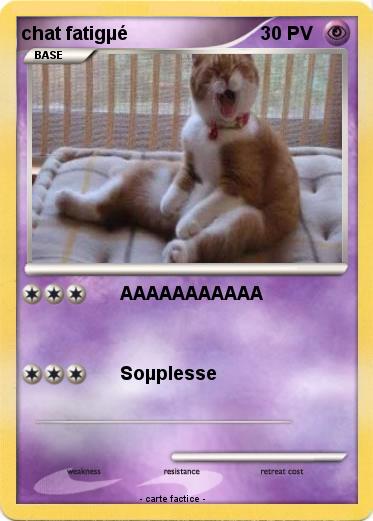Pokemon chat fatigµé