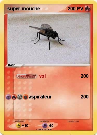 Pokemon super mouche