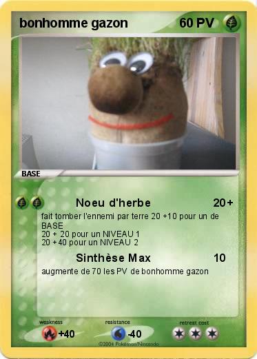 Pokemon bonhomme gazon