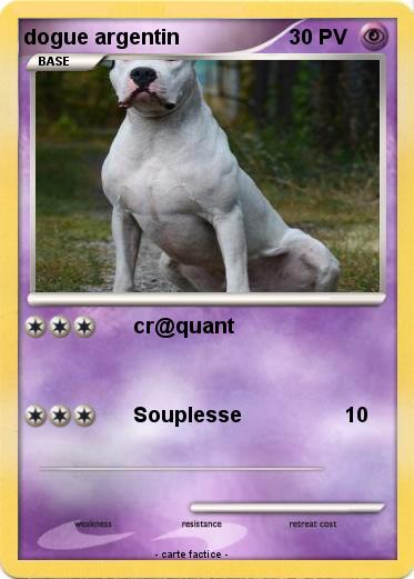 Pokemon dogue argentin