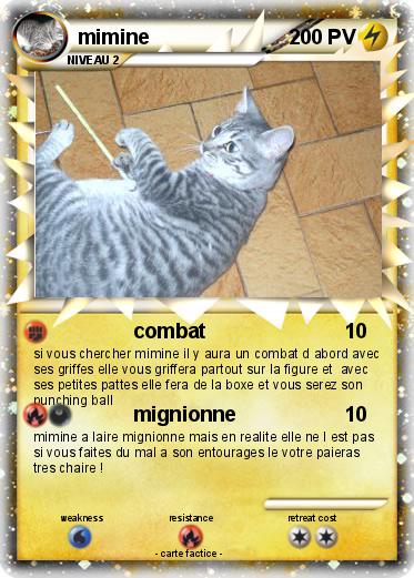 Pokemon mimine
