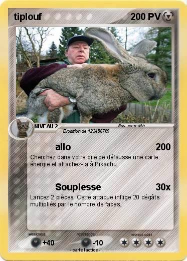 Pokemon tiplouf