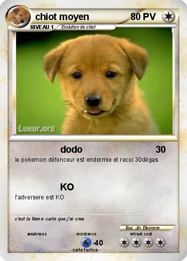Pokemon chiot moyen