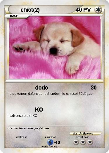 Pokemon chiot(2)
