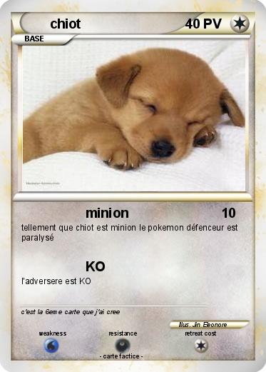 Pokemon chiot