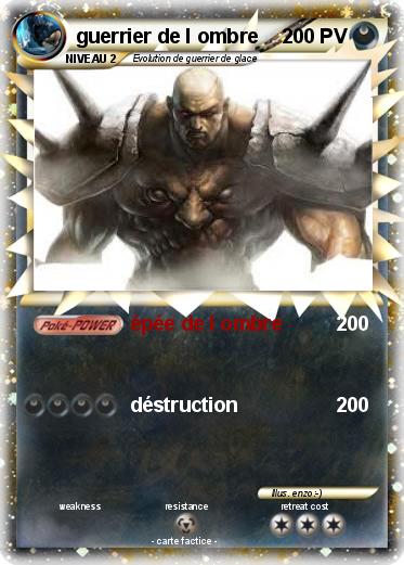 Pokemon guerrier de l ombre