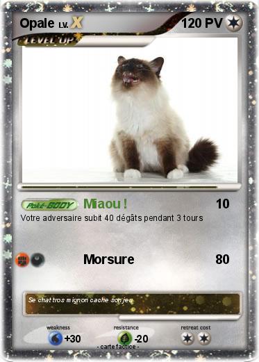 Pokemon Opale