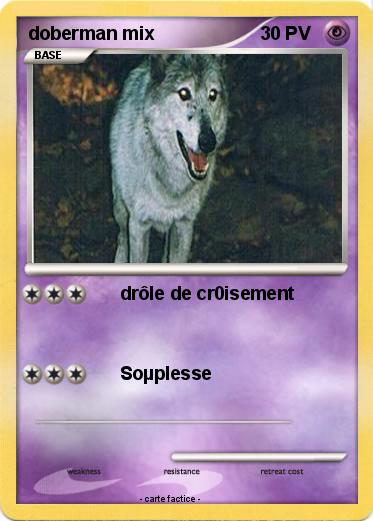 Pokemon doberman mix