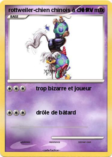 Pokemon rottweiler-chien chinois à crèste mix